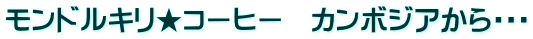 モンドルキリ★コーヒー　カンボジアから・・・